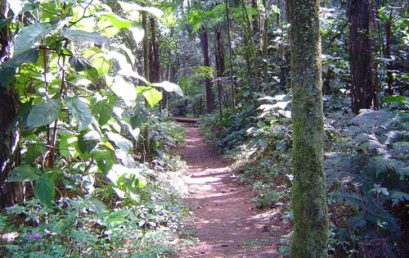 DICA DO DIA 06/04/2017