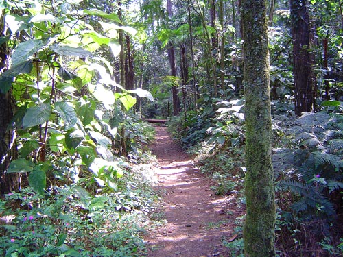 DICA DO DIA 06/04/2017