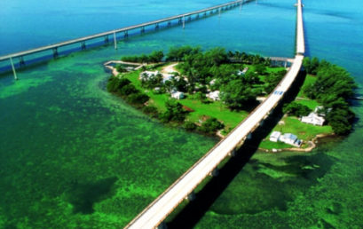 DICA DO DIA 17/05/2017