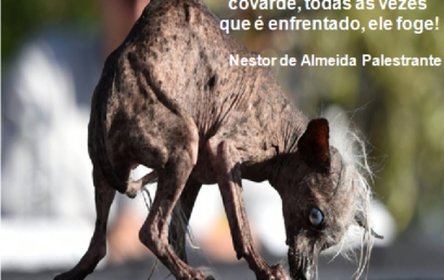 DICA DE SUCESSO DO DIA 28/05/2017