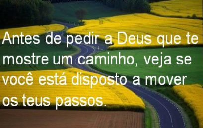 Conselho do dia 20/05