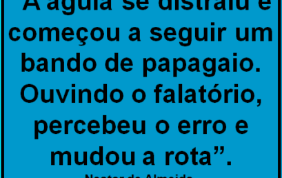 Conselho do dia 13/08/18