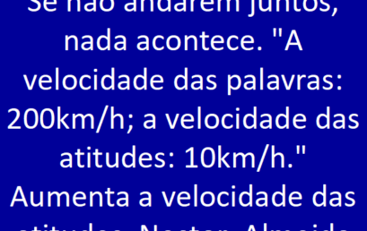 Conselho do dia 08/11/18