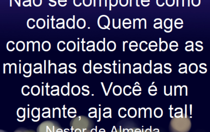 Dica do dia 31/03/2019