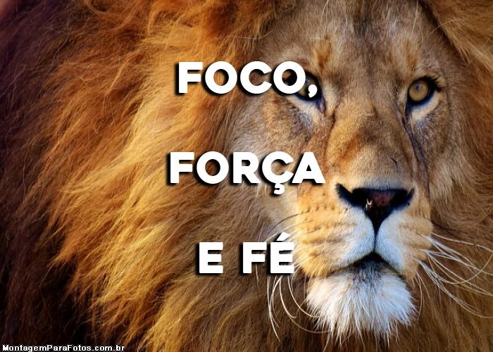 Foco, força e fé!