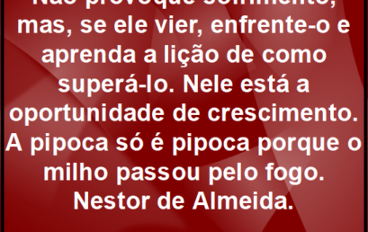 Conselho do dia 04/05/2019